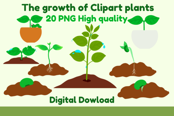 Download The Growth of Clipart Plants - Art Collection